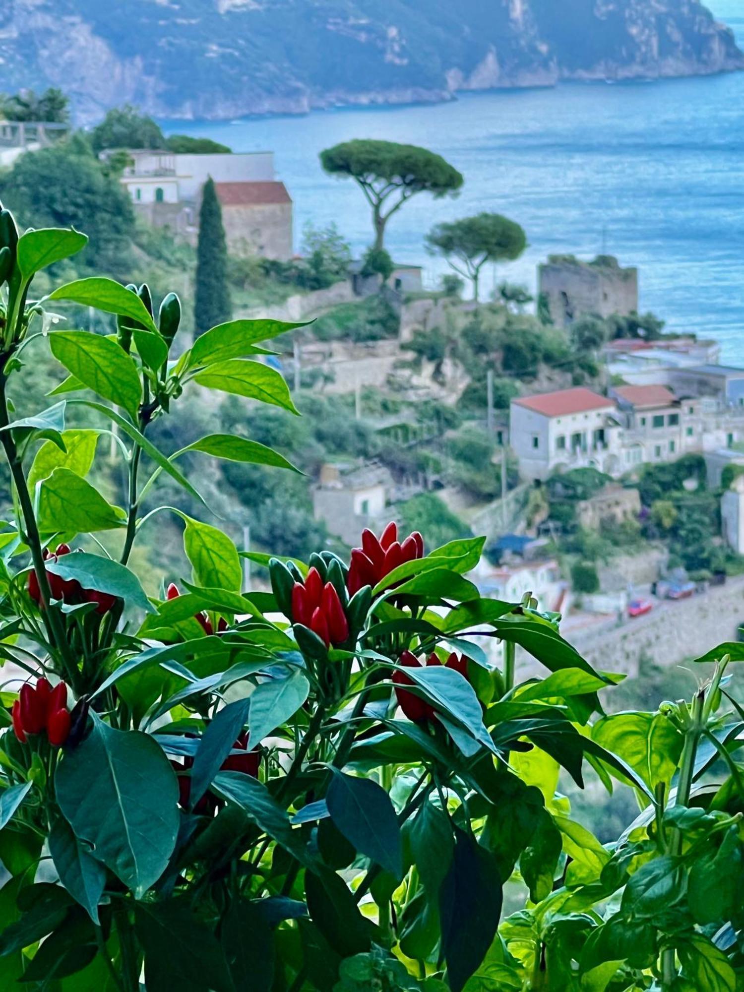 Villa Nina